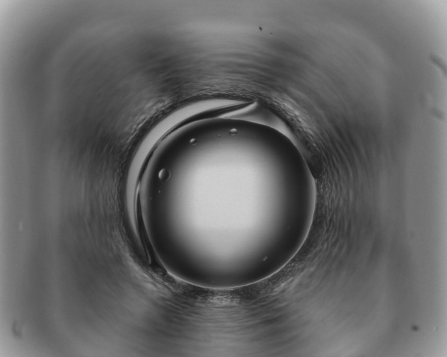 X0000091180546200708161520