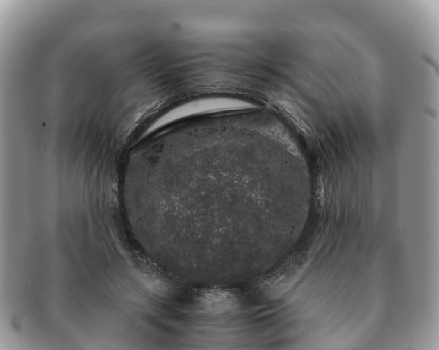 X0000091180547200708161520