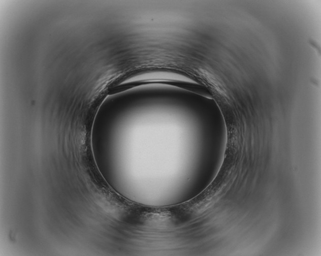X0000091180548200708161520