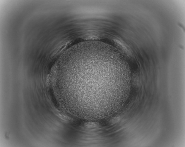 X0000091180549200708161520