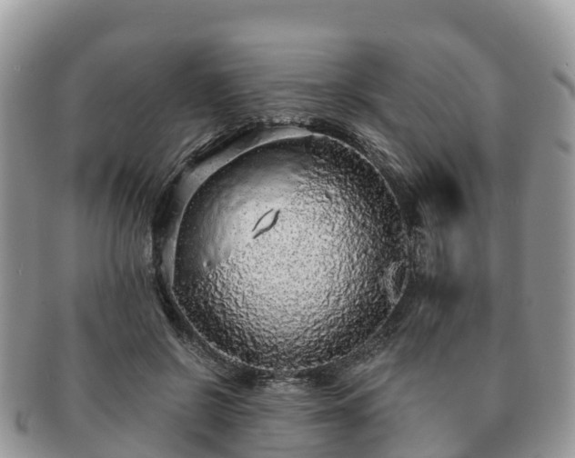 X0000091180550200708161520