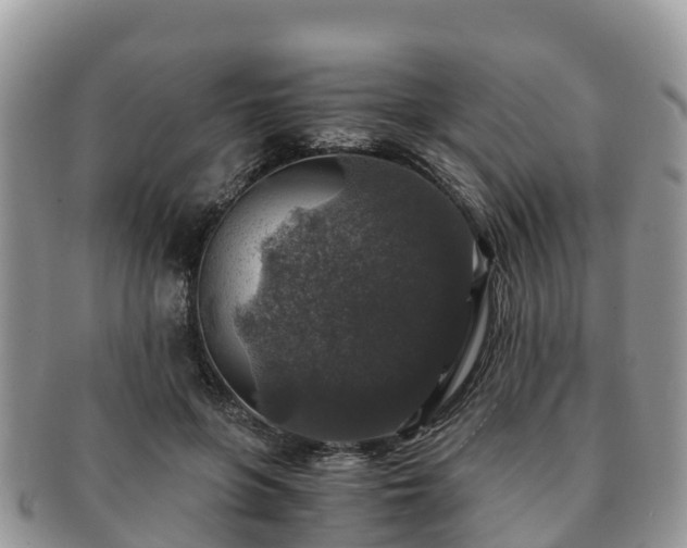 X0000091180551200708161520