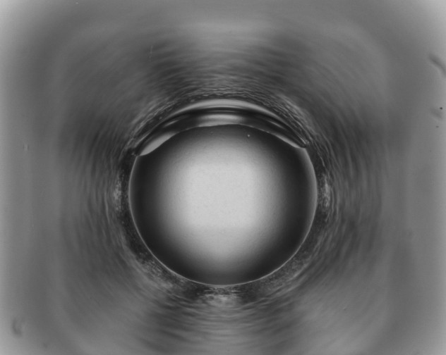 X0000091180552200708161520