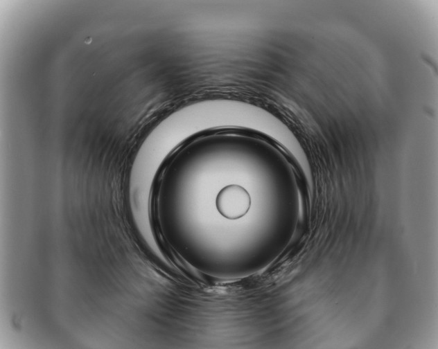 X0000091180558200708161520