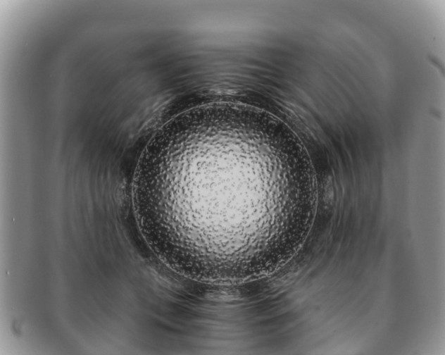 X0000091180559200708161520