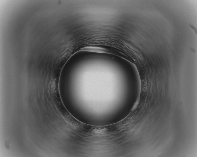 X0000091180560200708161520