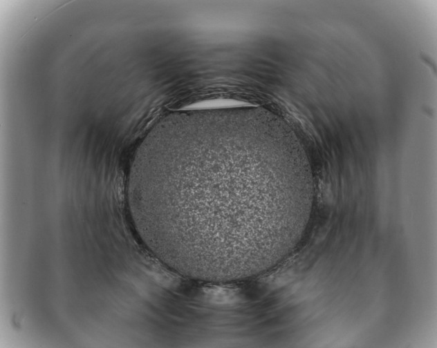 X0000091180561200708161520