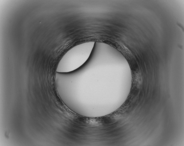 X0000091180565200708161520