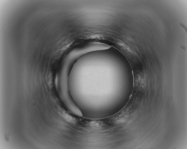 X0000091180566200708161520
