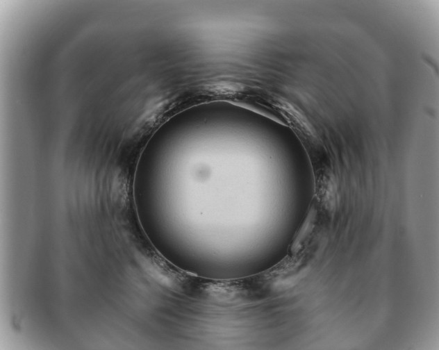 X0000091180568200708161520