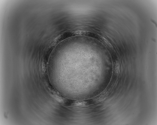 X0000091180569200708161520