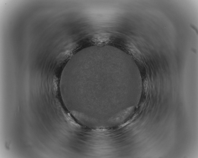 X0000091180570200708161520