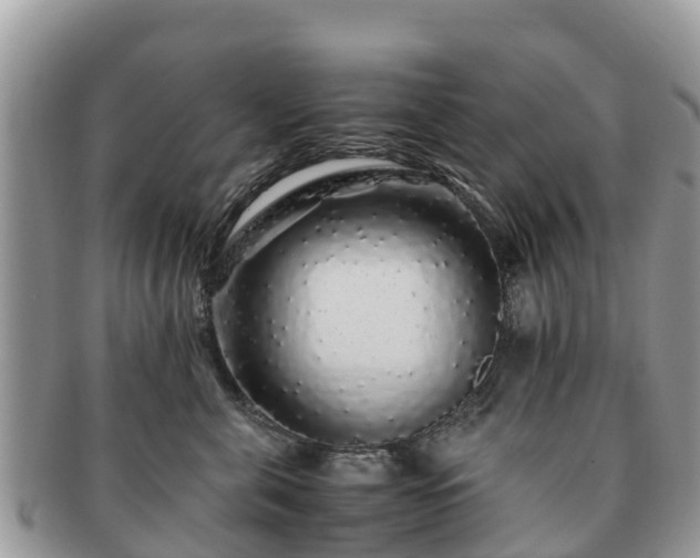 X0000091180571200708161520