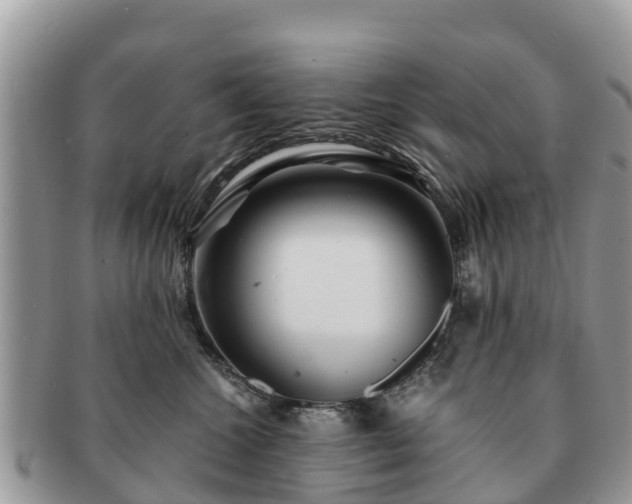 X0000091180572200708161520