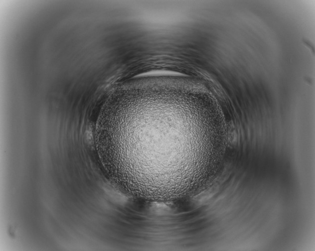 X0000091180573200708161520
