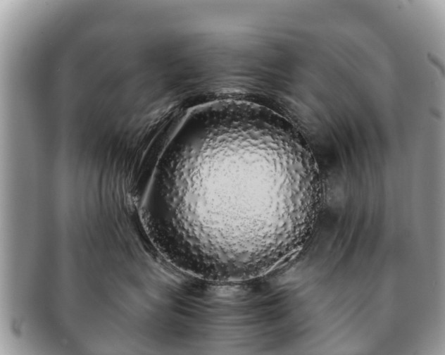 X0000091180575200708161520