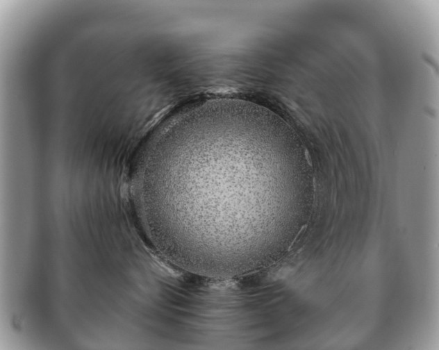 X0000091180576200708161520