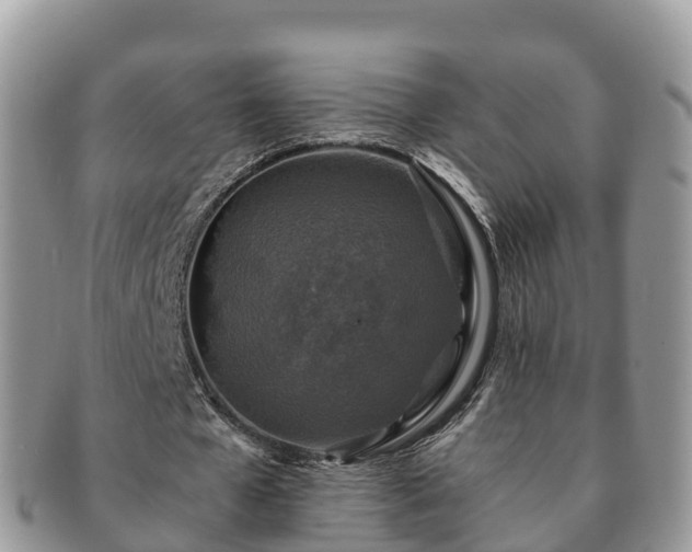 X0000091180577200708161519