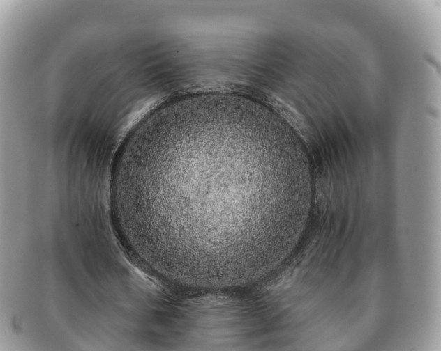 X0000091180578200708161519