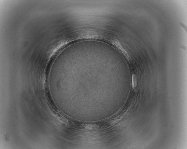 X0000091180579200708161519