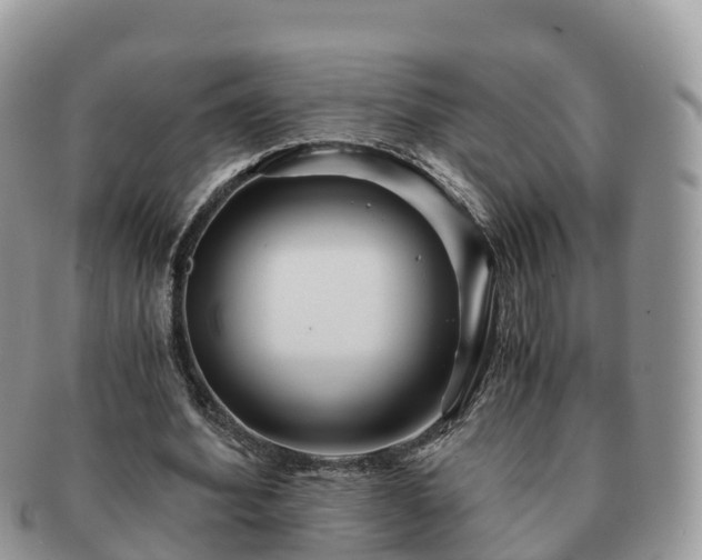 X0000091180580200708161519