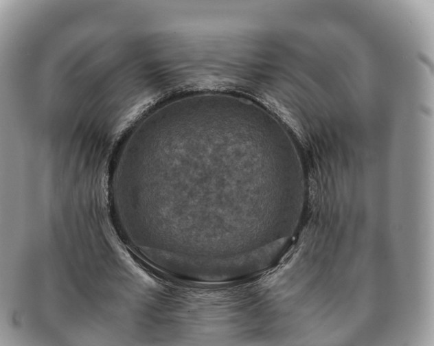 X0000091180581200708161519