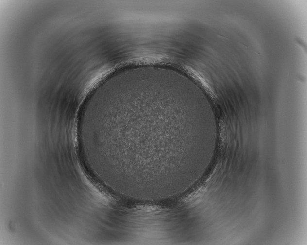 X0000091180582200708161519