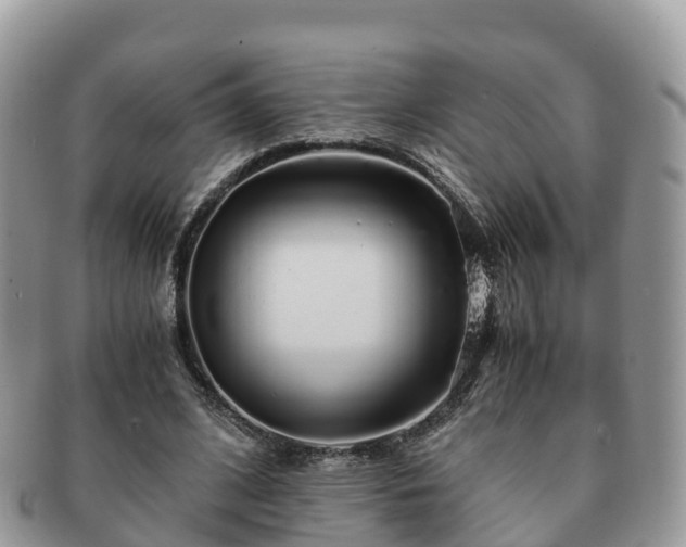 X0000091180584200708161519