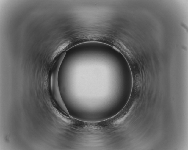 X0000091180585200708161519