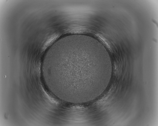 X0000091180586200708161519