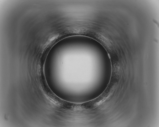 X0000091180587200708161519