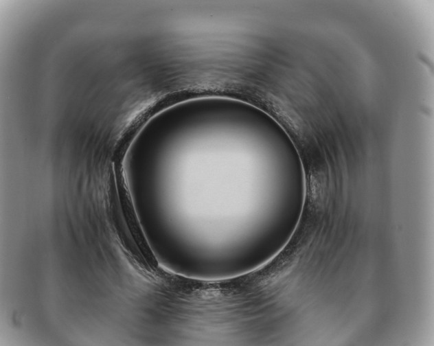 X0000091180588200708161519