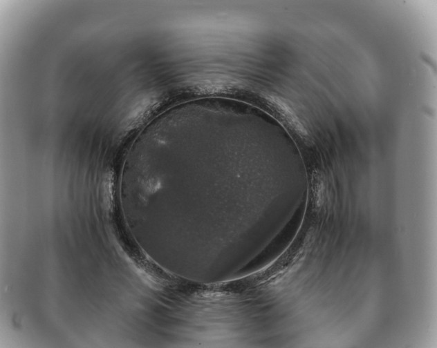 X0000091180590200708161519