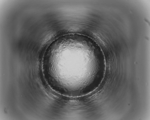 X0000091180591200708161519
