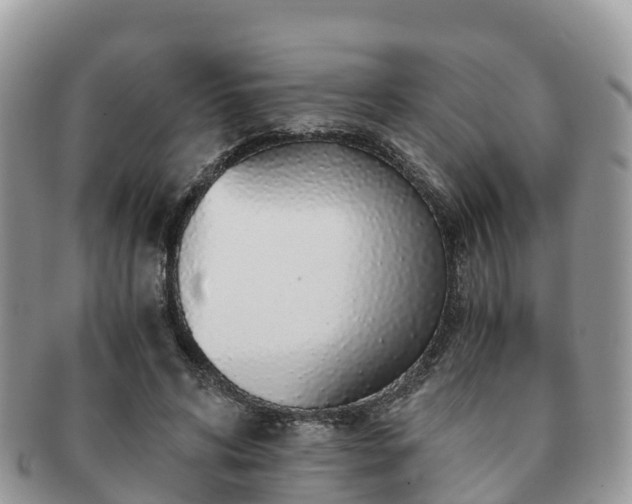 X0000091180592200708161519