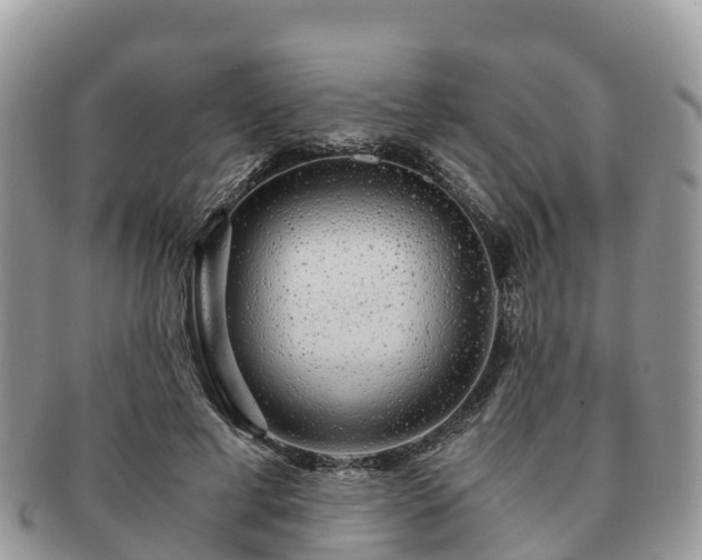 X0000091180593200708161519