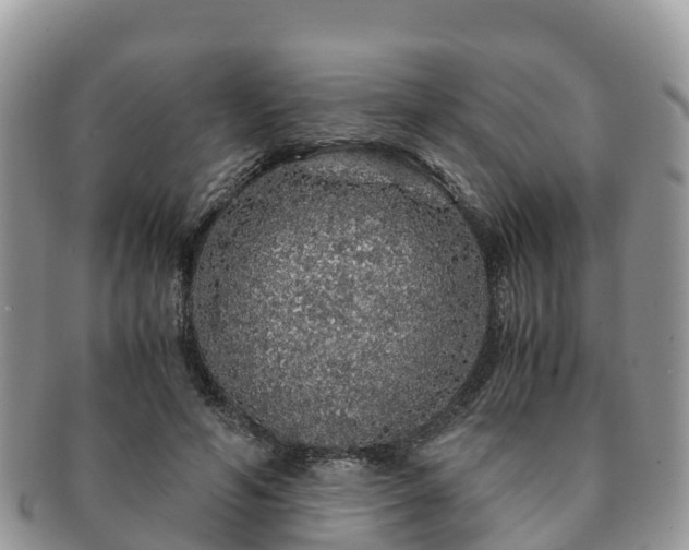 X0000091180594200708161519