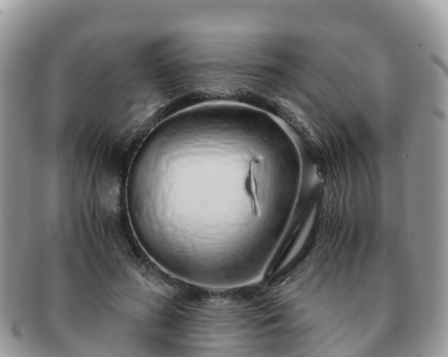 X0000091180596200708161519