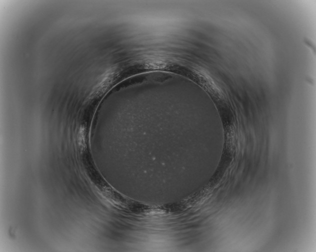 X0000091180598200708161519