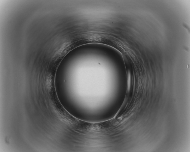X0000091180600200708161519
