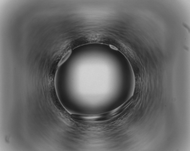 X0000091180601200708161519