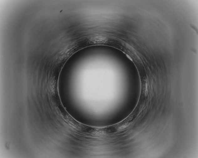 X0000091180604200708161519