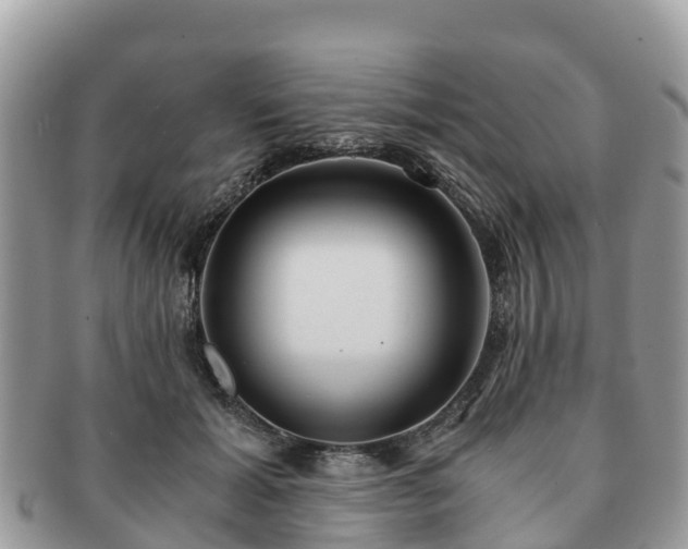 X0000091180605200708161519
