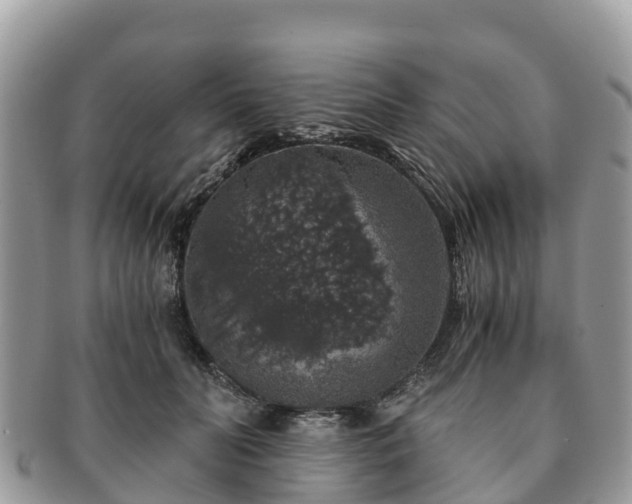 X0000091180606200708161519