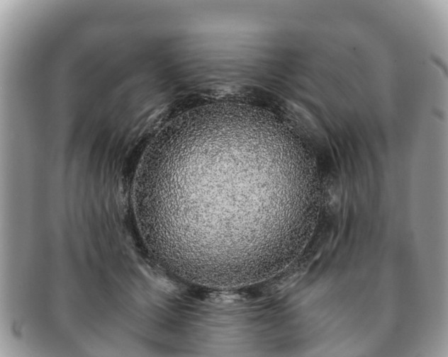 X0000091180607200708161519