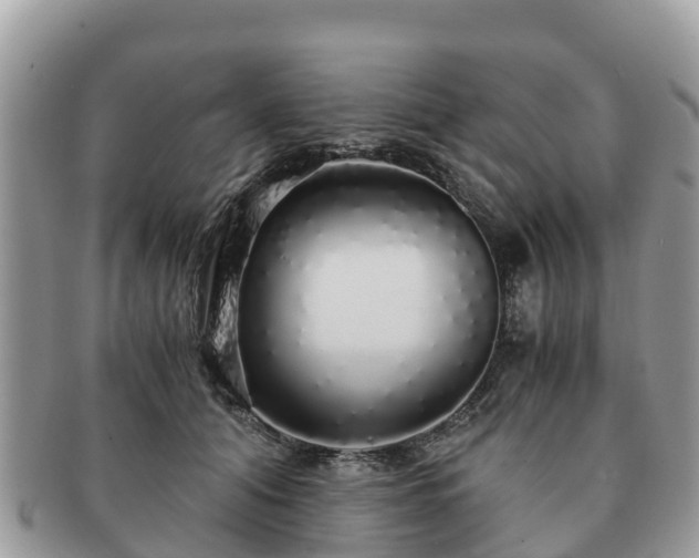 X0000091180608200708161519