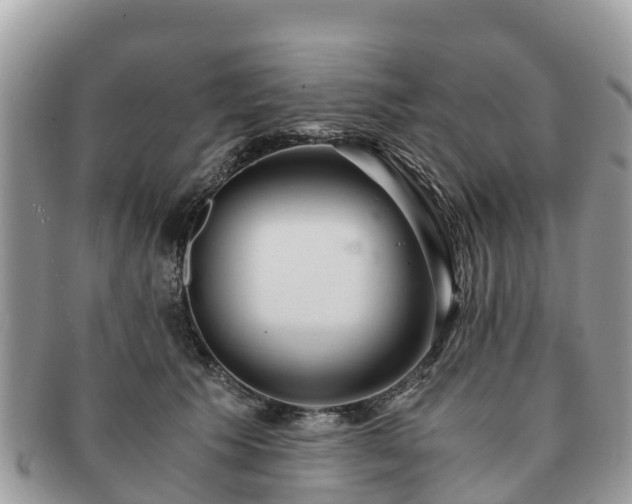 X0000091180609200708161519