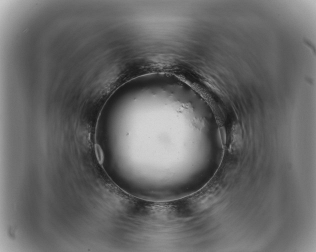 X0000091180615200708161519