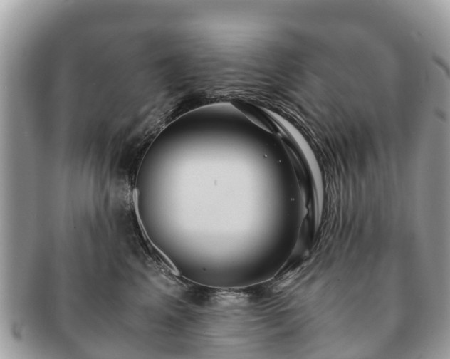 X0000091180617200708161519