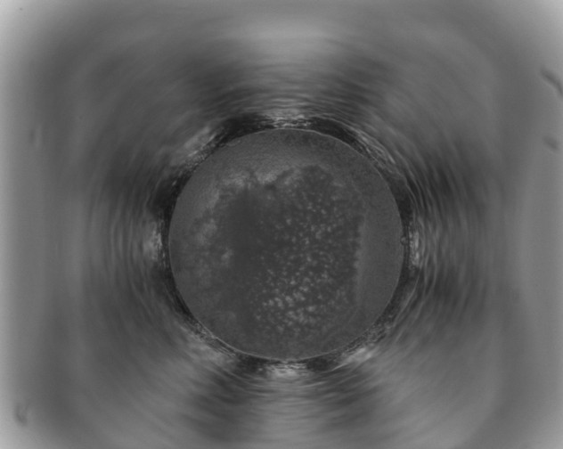 X0000091180618200708161519